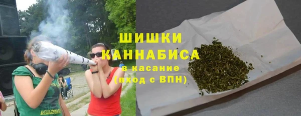PSILOCYBIN Богданович