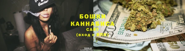 PSILOCYBIN Богданович